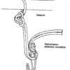 SeilProfi